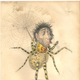 Illustration for article titled In the 1870s, Charles Darwin was the theme of a downright deranged Mardi Gras parade